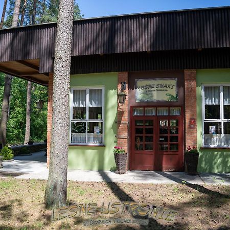 "Lesne Ustronie" Villa Byslaw Exterior photo
