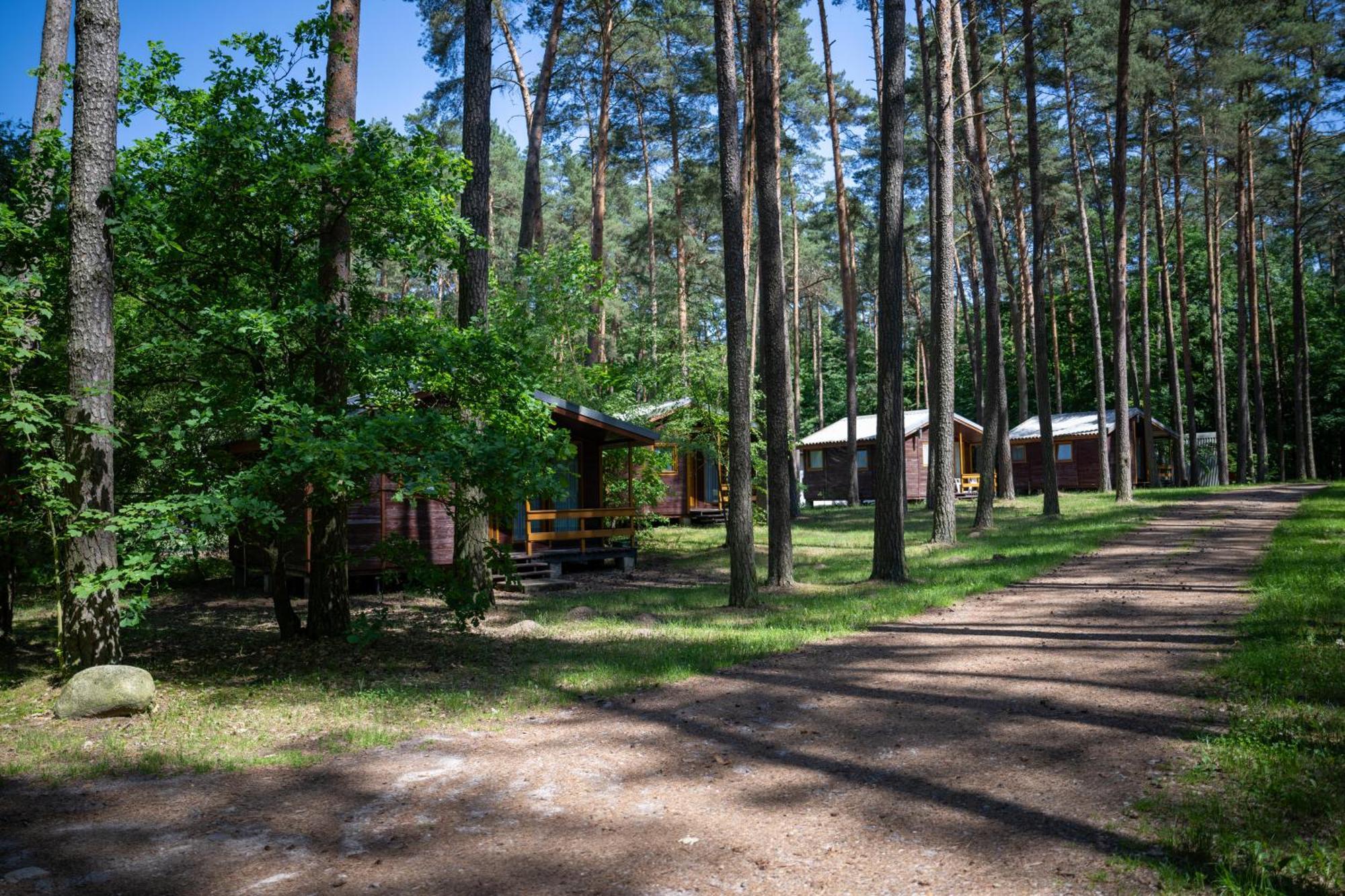 "Lesne Ustronie" Villa Byslaw Exterior photo